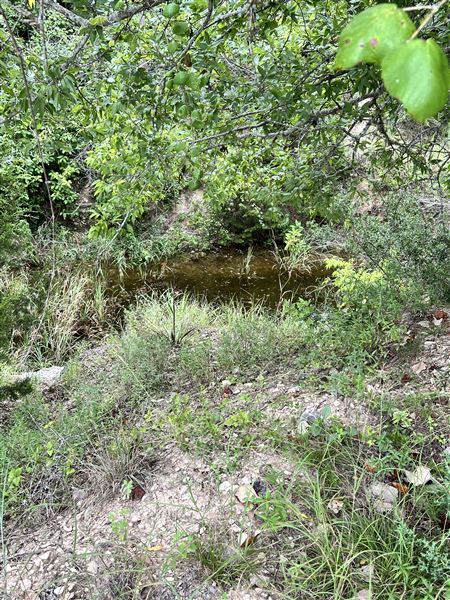 Lost Creek at Wimberley (3/4/2025 - Credits: Todd Nasca)