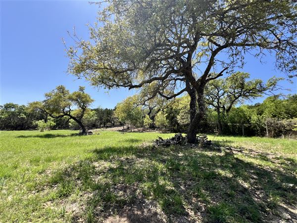 Lost Creek at Wimberley (3/4/2025 - Credits: Todd Nasca)