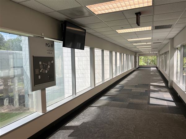 Vivaverse Campus (4/21/2025 - Credits: Ulises Vidal)