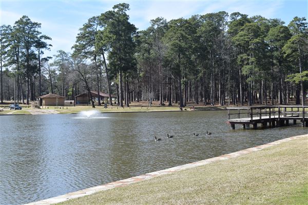 Spring Lake Park (3/20/2025 - Credits: submitted by: Brooke  Stone)