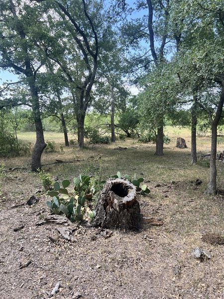 McDonald Cedar Creek Legacy Estate (5/24/2025 - Credits: Mayerland Harris)