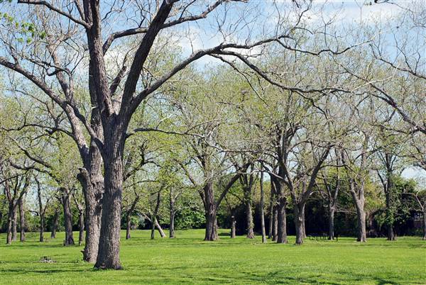 Riverside Park (3/22/2012)