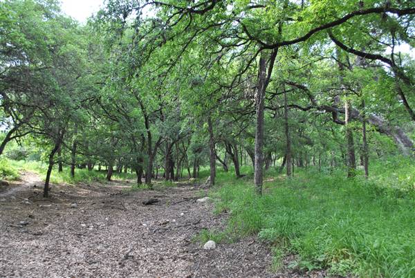 Phil Hardberger Park (4/7/2012)