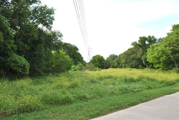 Phil Hardberger Park (4/7/2012)