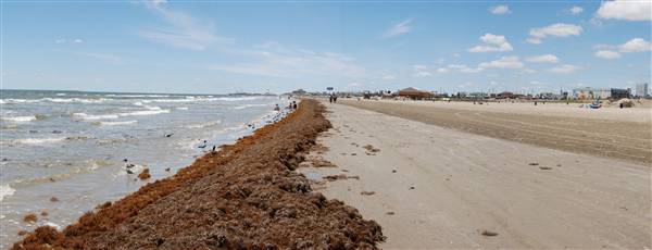 Stewart Beach (4/19/2012)