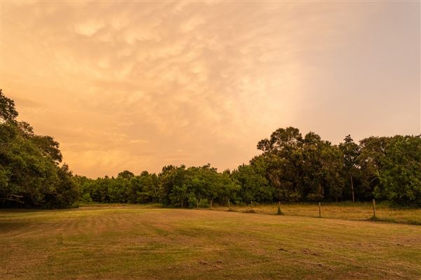 The Oaks of Anahuac (8/8/2025 - Credits: Jeff Fitlow Photography)