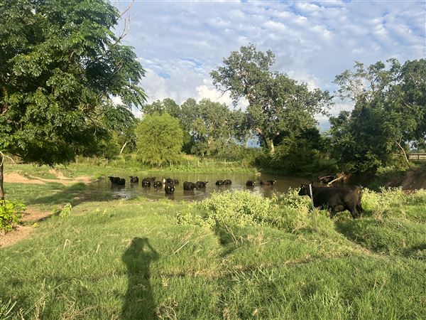 Evans Ranch (9/20/2024 - Credits: submitted by: kate evans)