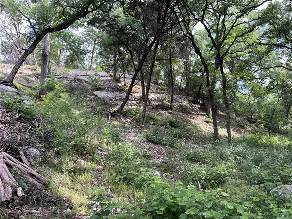 Riva Ridge (2/4/2026 - Credits: submitted by: Sabina  Nugent)