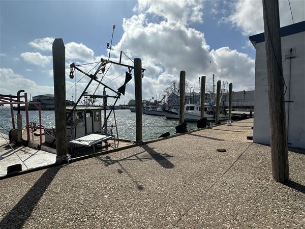 Port Lavaca City Harbor (3/1/2026 - Credits: Tania French)