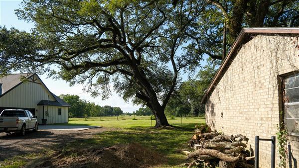 The Oaks of Anahuac (9/12/2025 - Credits: Houston Film Commission)