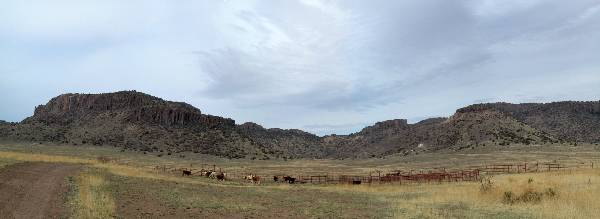 CF Ranch (1/27/2003)
