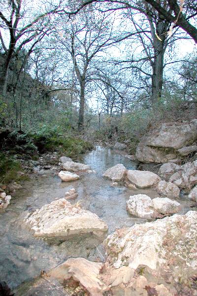 Milton Reimers Ranch County Park (11/29/2004)