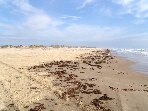 Boca Chica Beach & Dunes (3/2/2005)
