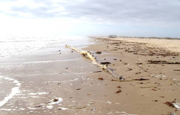 Boca Chica Beach & Dunes (3/2/2005)